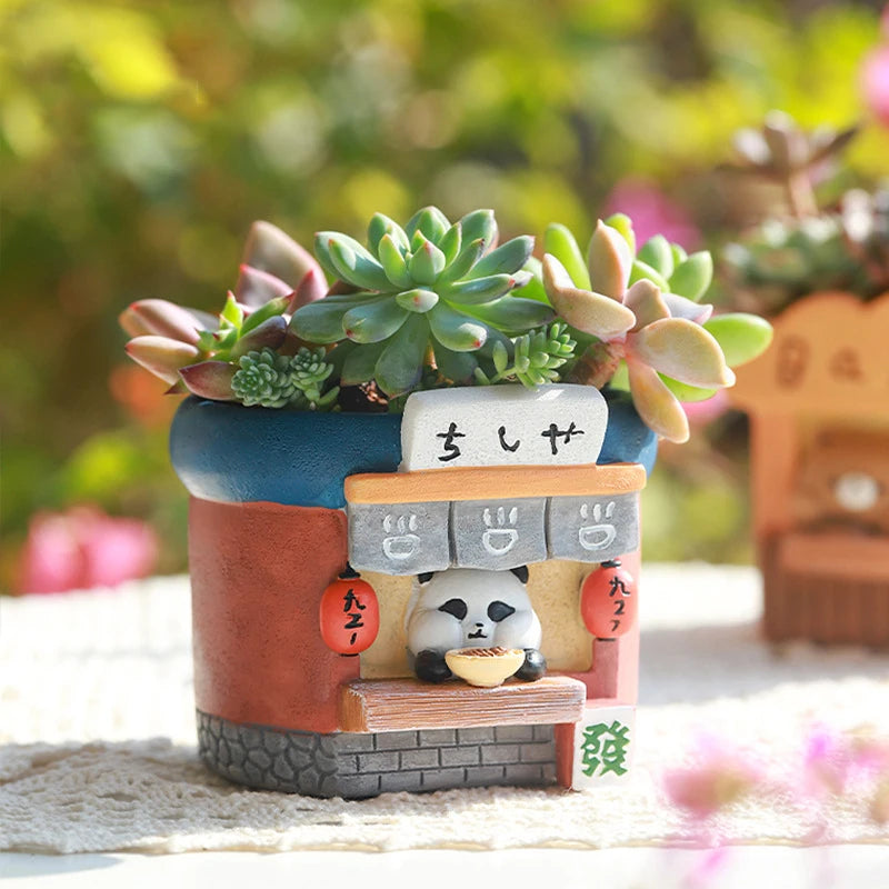 Decorative Garden Pots for Mini Plants - Kaleo Cactus Garden