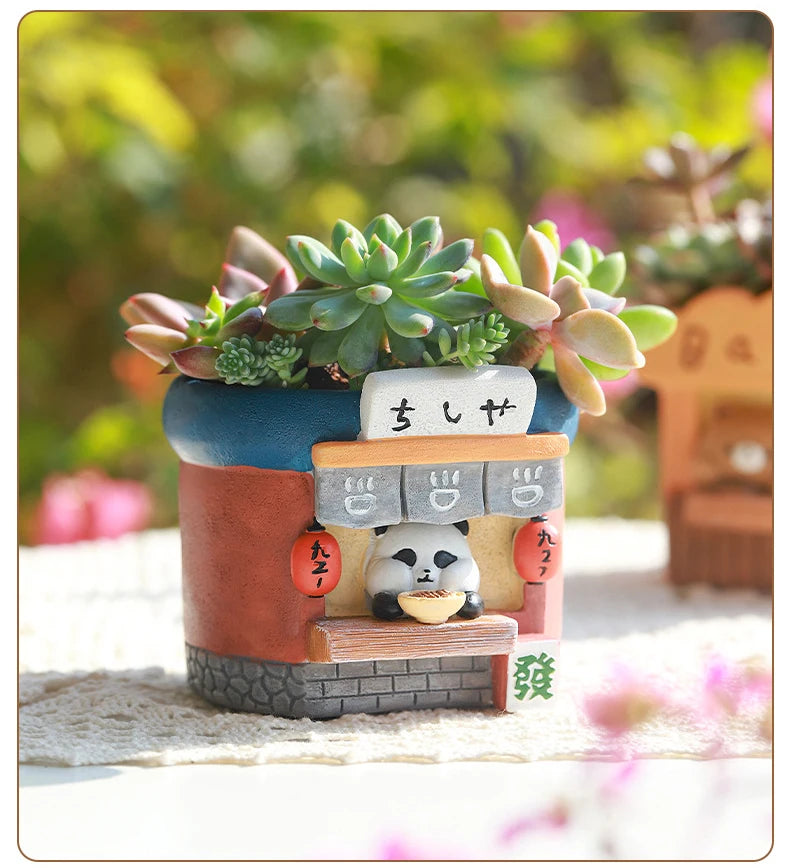 Decorative Garden Pots for Mini Plants - Kaleo Cactus Garden