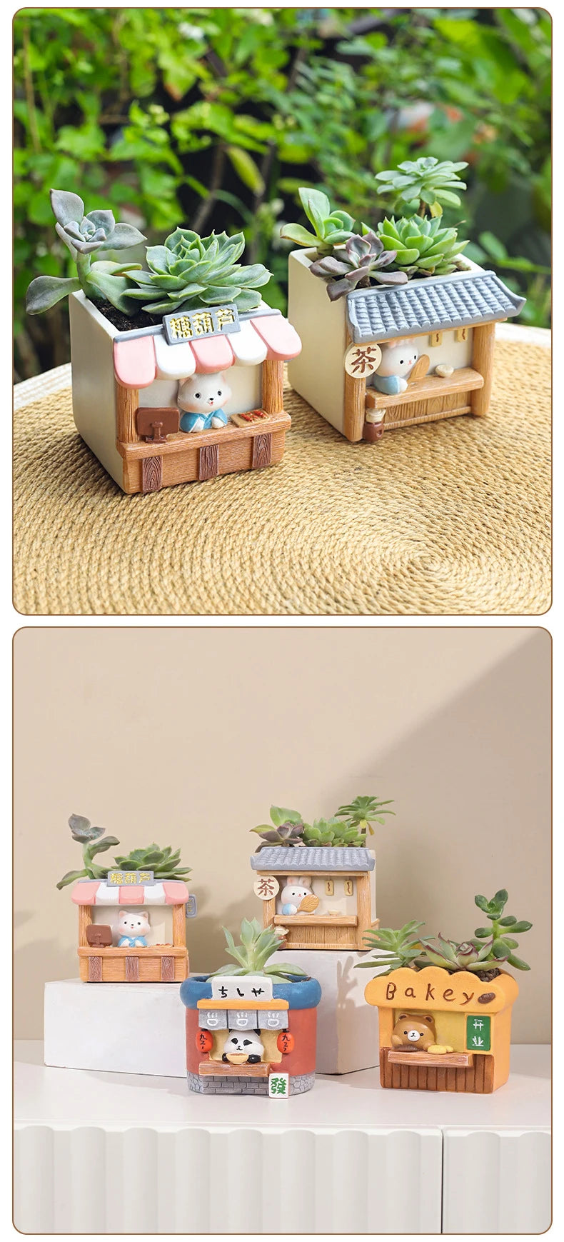 Decorative Garden Pots for Mini Plants - Kaleo Cactus Garden
