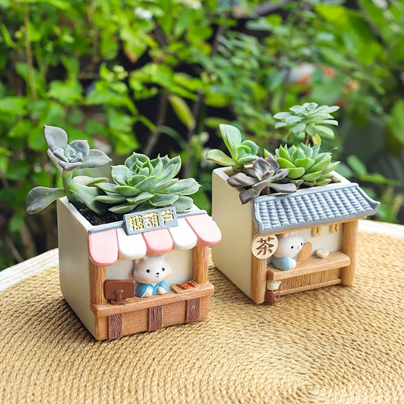 Decorative Garden Pots for Mini Plants - Kaleo Cactus Garden